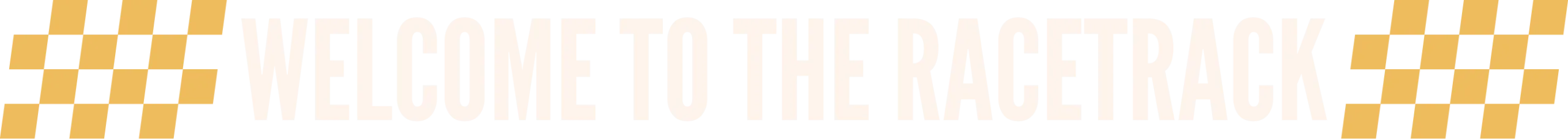 Welcome to the Racetrack